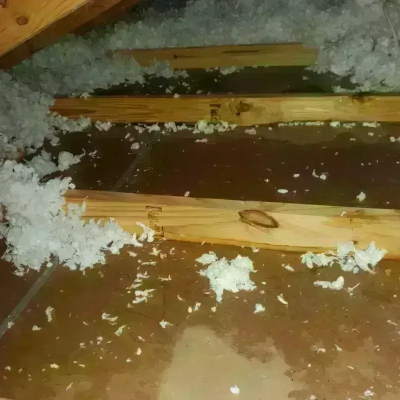 Attic Water Damage in Head of the Harbor, NY